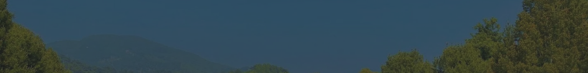 天津武清永安公墓顶部背景图