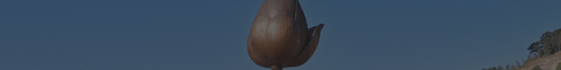 天津武清永安公墓顶部背景图