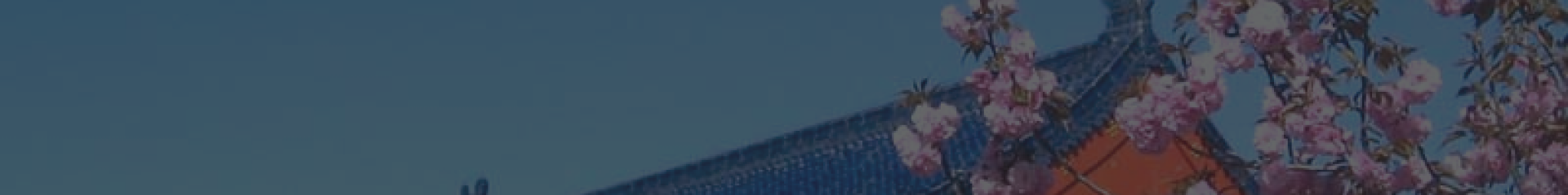 天津武清永安公墓顶部背景图