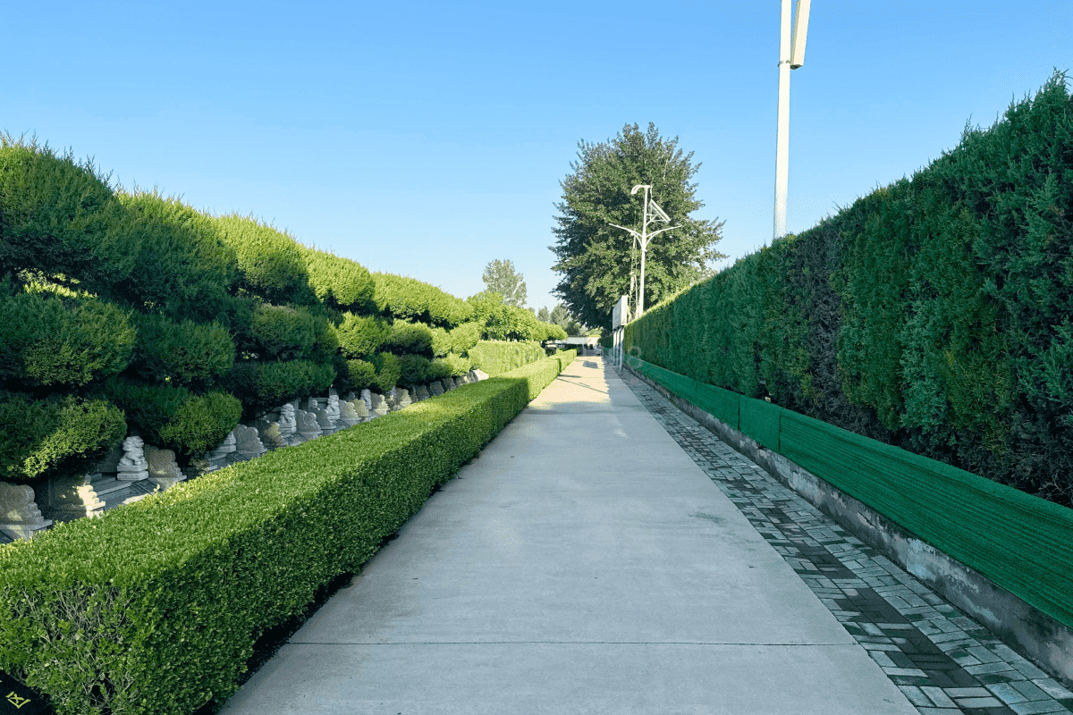 永安公墓园区景观图