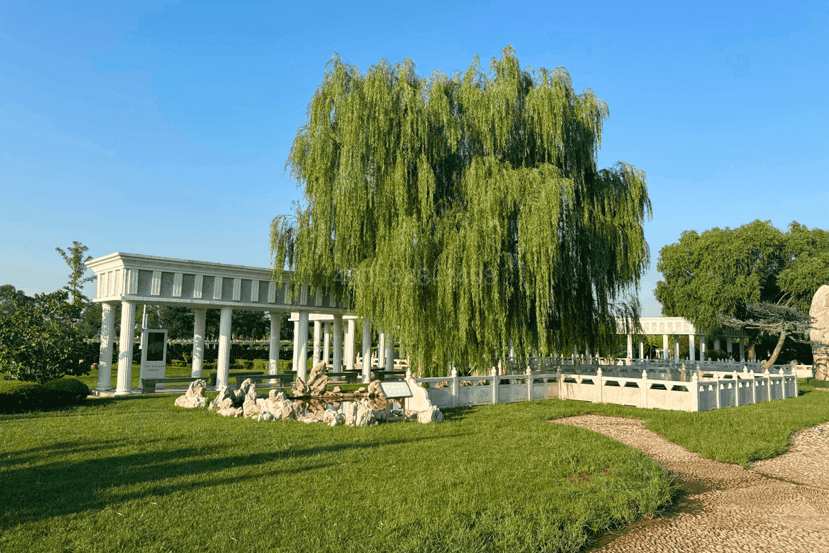 永安公墓园区景观图